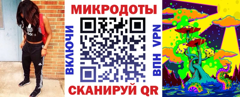 закладки  площадка как зайти  Галлюциногенные грибы Cubensis  Приволжский 